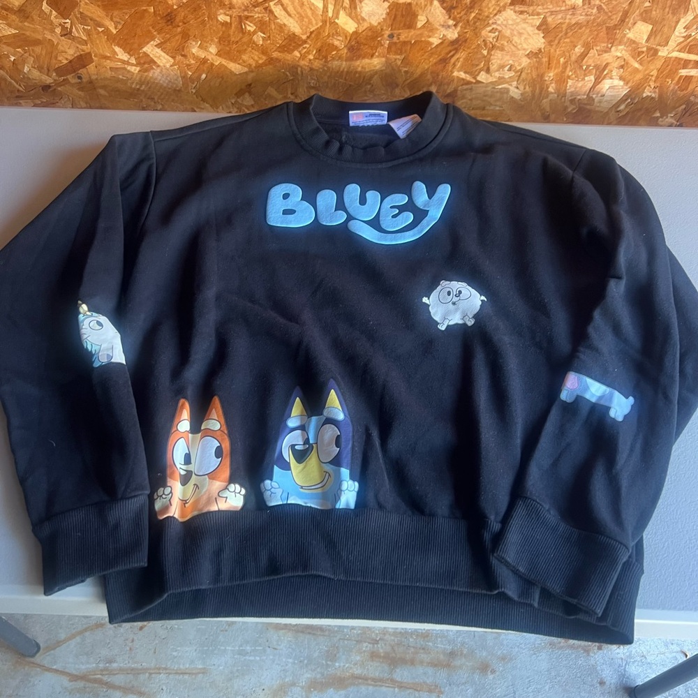 Bluey Adult Unisex Black Crewneck Long Sleeve Sweatshirt - size Small